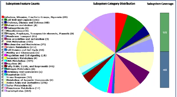 Figure 10: Organism Overview for Streptococcus salivarius 24SMBc 