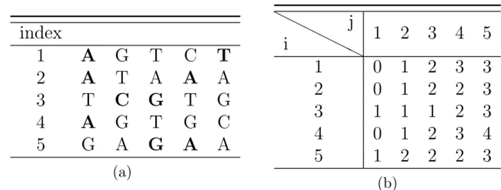 Figure 3.4: (a) Input set S. (b) HD matrix after the choice of the most occurrent character.