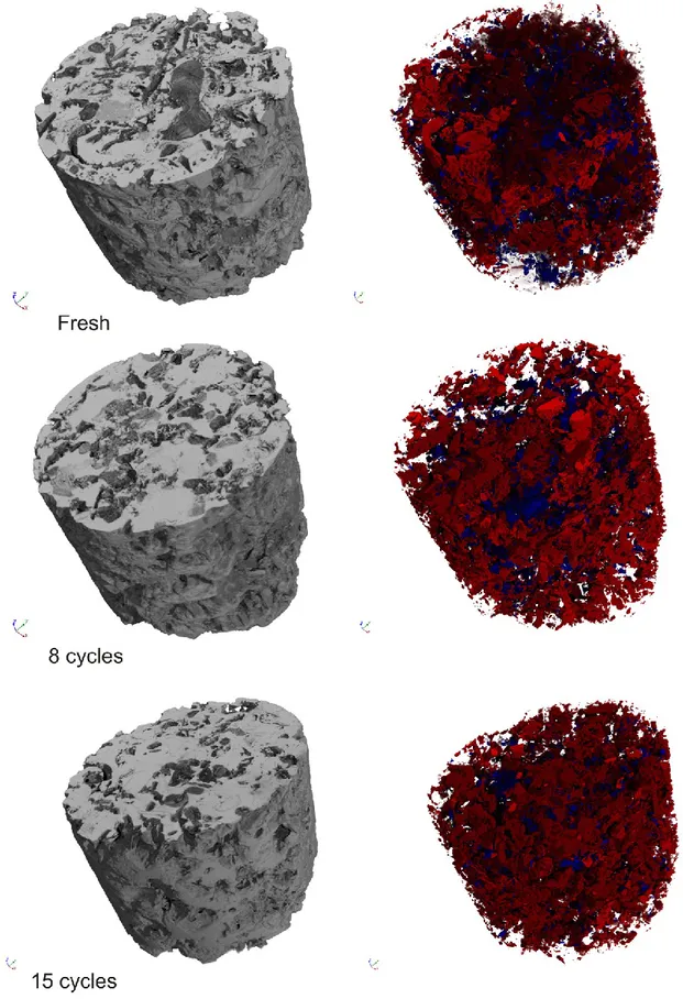 Figure 3.15 - 3D reconstruction images of the bulk (left) and pore structure (right). Closed porosity (blue) and open  porosity (red) network are shown