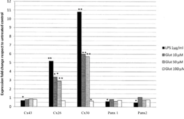 Fig. 3: Amount of Cxs or Panxs analysis of transcripts evaluated by quantitative Real-Time  PCR  in  human  primary  astroglial  cell  cultures  exposed  to  1 µg/ml  LPS  or  10,  50,  100  µM  glutamate for 24 h