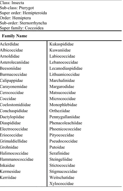 Table 2. Classification of the superfamily Coccoidea (Ben-Dov, 2010)  Class: Insecta 