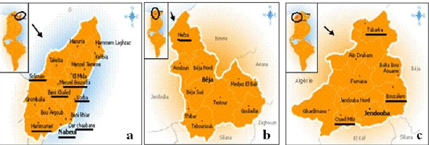 Figure 14. Inspected localities in Nabeul (a), Béja (b) and Jendouba (c) 