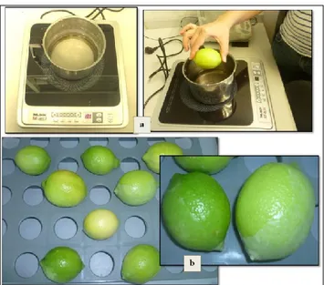 Figure 16. Waxing process: a. Coating of fruits with paraffin after                                                                               ebullition, b