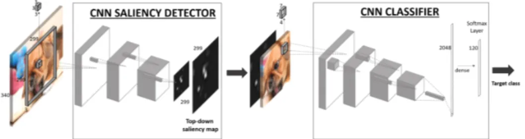 Figure 3.1: Architecture of the proposed model – SalClassNet– for saliency detection guided by a visual classification task