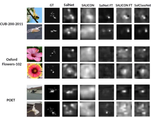 Figure 3.5: Examples of output saliency maps generated by different methods on CUB-200-2011 (first two rows) Oxford Flower 102 (third and forth row) and POET (last two rows row) and compared to SALICON-generated saliency maps