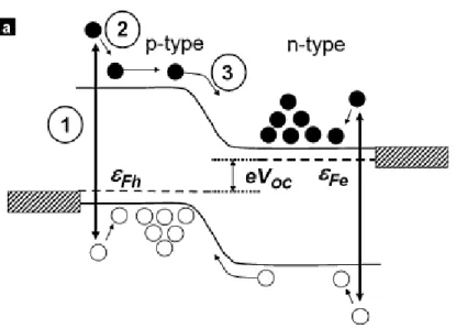 Figure 1. The process of separation, diffusion and accumulation of charge carriers in a simple p-n 