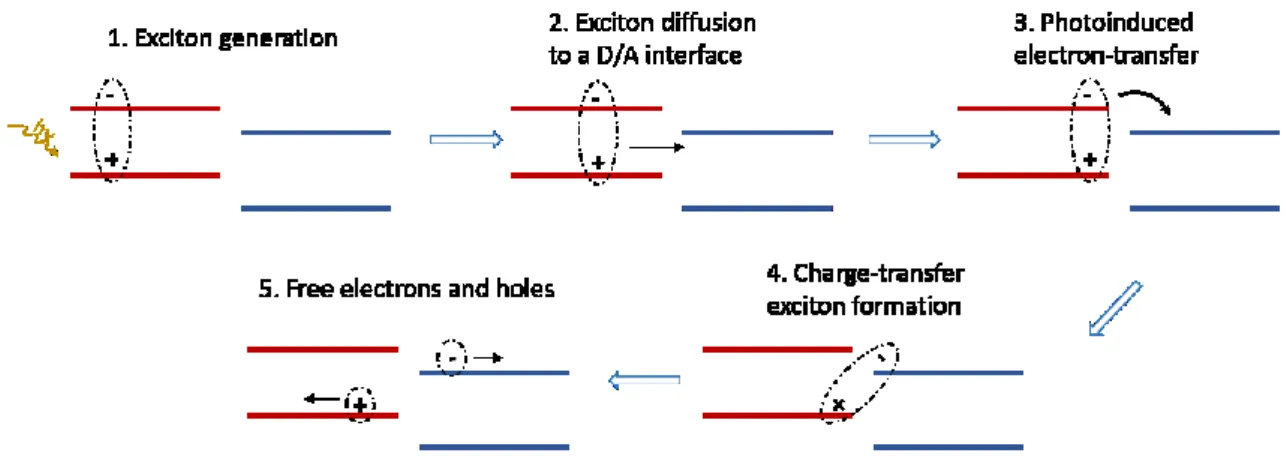 Figure 3.2: Schematization of the photo-induced charge separation between  