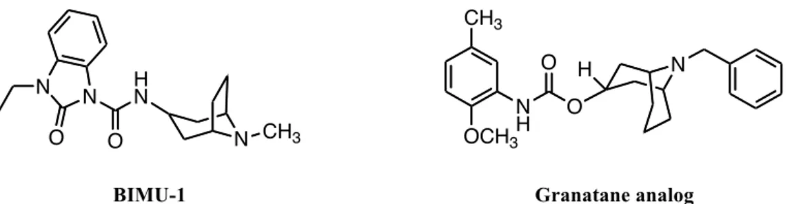 Figure 13: Sigma 2 ligands based on tropane and granatane analogs 