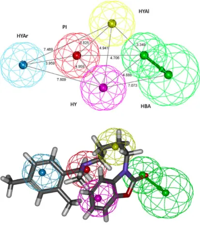 Figure  15:  Top-scoring  pharmacophore  model  Hypo1,  based  on  a  series  of  substituted 