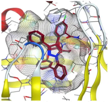 Figure 1.6. Poses of BMS309403 (grey), BMS_1 and BMS_6 (both in burgundy). 