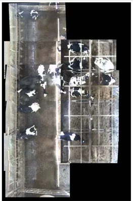 Figure 10. Synchronised acquisition of  the 10 snapshots recorded by the video  cameras