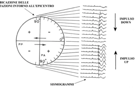 Figura 9 .  Rappresentazione  del  verso  e  dell’ampiezza  del  primo  impulso  delle  onde  P,  relative  ad 
