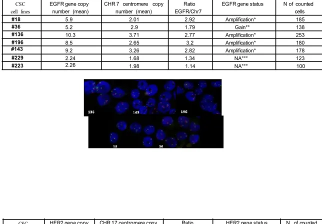 Figure 6: Genetic pattern of lung cancer associated genes in lung CSCs 