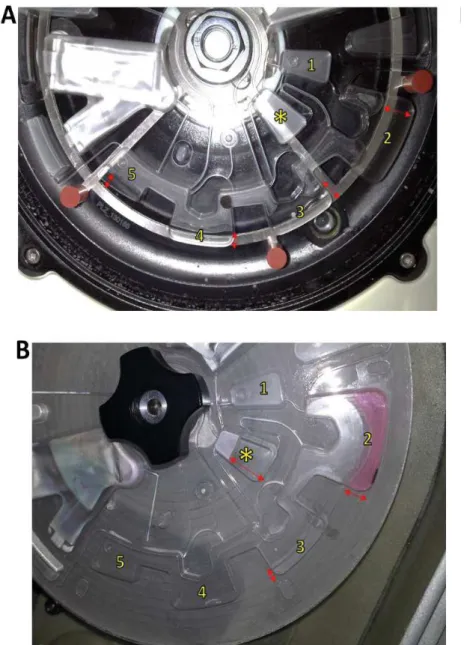 Fig. 9.  Irregular fluidics of extraction buffers: A) Qiagen; B) P1B. Red arrows indicate the level of fluids 