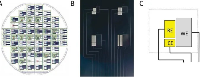 Table 1 Geometrical features for the four electrochemical tested cells.  