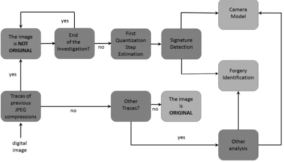 Figure 3.1: When an image is analyzed for forensics purposes, the goal of the examiner can span from the (stand-alone) verification of its originality, up to the investigation of further and deeper details