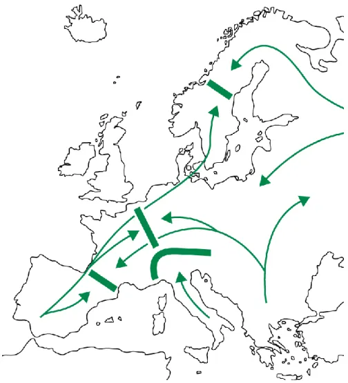 Figura  1.3.  Rotte  di  espansione  postglaciale  nel  territorio  europeo.  Le  frecce  indicano  le  principali  direzioni  di  migrazione