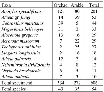 Tab. 4.5.1 – Species sampled with car-net with 10 or more specimens in Orchad Citrus and Arable Land