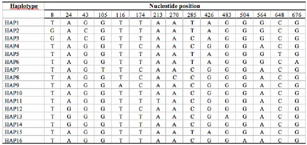 Tab.  4   –  Siti  variabili  delle  sequenze  della  Citocromo  Ossidasi  I  (COI)  da  cui  sono  stati 