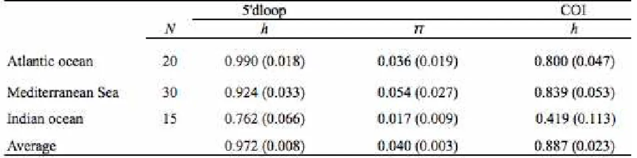 Tab. 5-  Indici di diversità genetica: h: diversità aplotipica; π: diversità nucleotidica