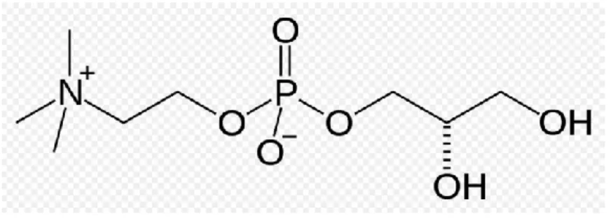Figure A: Chemical structure of choline alphoscerate 