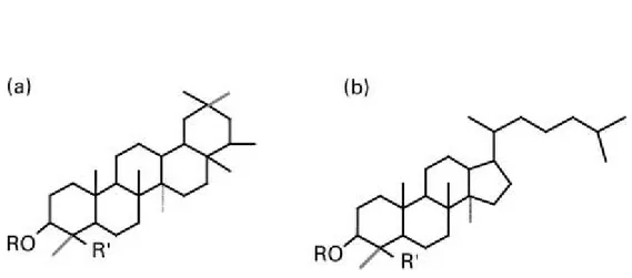 Figure 1: Basic structure of aglycone: triterpenoid (a) or steroid (b) 