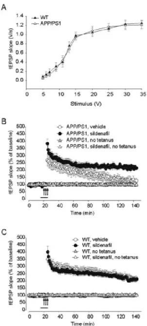 Fig. 3.3 - Il sildenafil ripristina l’alterazione dell’LTP nella regione CA1 di topi APP/PS1  di 3 mesi