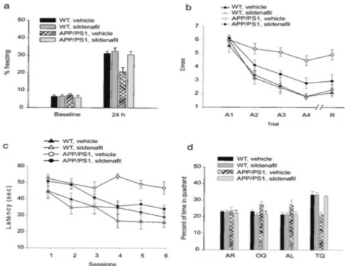 Fig. 3.8 - Il sildenafil somministrato nei topi APP/PS1 di 3 mesi (3 mg/Kg die, i.p., per 3  settimane) migliora la memoria associative e spaziale nei topi APP/PS1 di 6-8 mesi