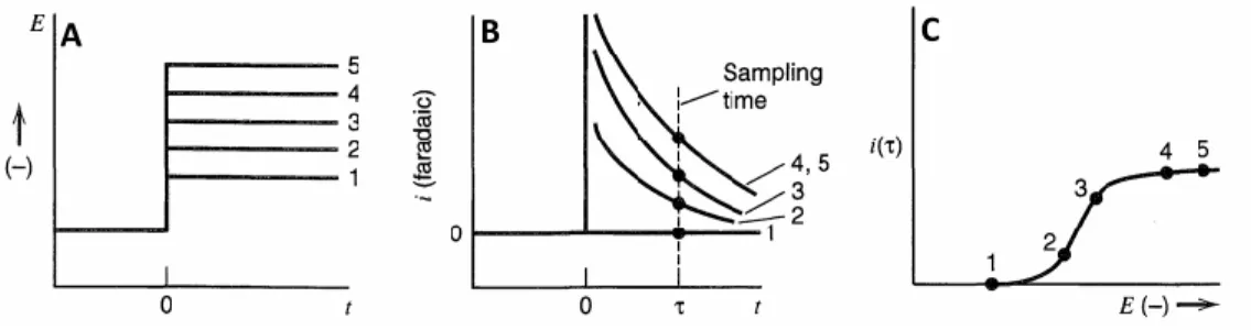 Figure 2.8 well schematizes this behaviour. Figure 2.8A shows different values  of  applied  potential  for  a  generic  reduction  process