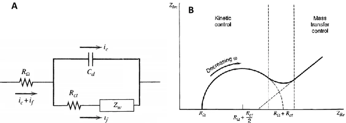Figure 2.11A shows a typical equivalent circuit where RΩ, Rct, Cd and Zw are the  resistance  of  the  solution,  the  charge  transfer  resistance,  the  capacitance  of  double layer and the Warburg impedance, respectively