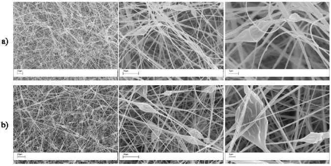 Figure 6:23 SEM images of coPES20k nanofibers filled with 1wt% (a) and 10wt% (b) of MWCNT 