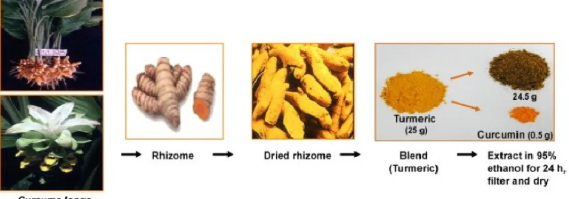 Figure 9 The extraction of curcumin  