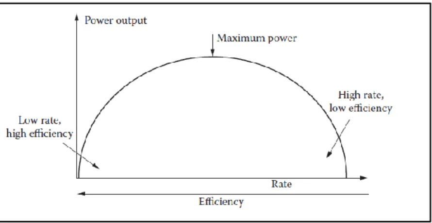 Figure 8. The maximum power principle claims that the development of an ecosystem is a  trade-off (a compromise) between the rate and the efficiency, i.e., the maximum power  output per unit of time (from Jørgensen, 2012)
