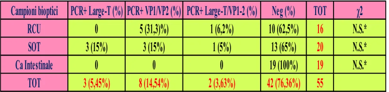 Tab. 5: Positività in PCR delle sequenze Large-T e VP1/VP2 nei campioni bioptici saggiati