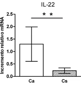Figura 4.1: Espressione relativa dell’IL-22 nei pazienti con cGvHD in fase attiva  di malattia (Ca) e nei pazienti con cGvHD in remissione completa (Cs)