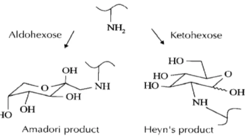 Fig. 4: Amadori or Heyn’s product (Yaylayan, 1997). 