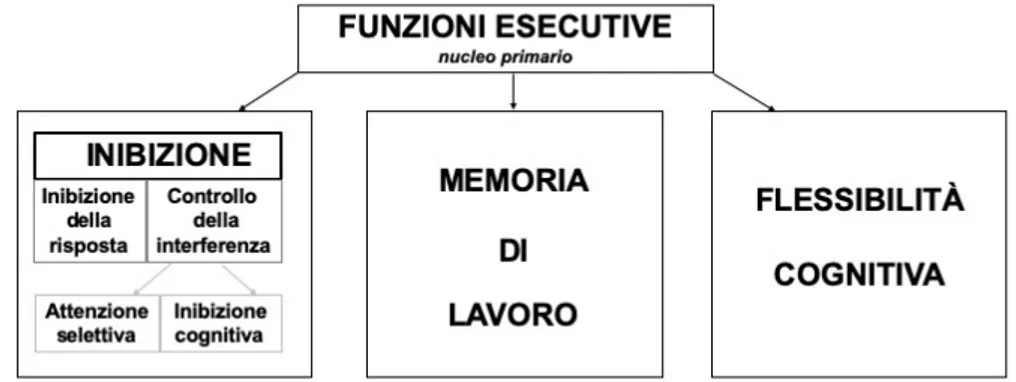 Figura 1: Nucleo primario delle Funzioni Esecutive