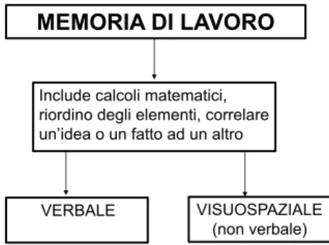 Figura 3. Memoria di Lavoro (o Working Memory) e sue componenti