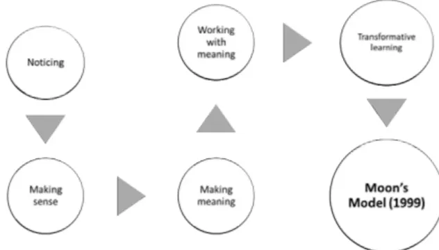 Figura 3: Le cinque fasi del modello McDrury &amp; Alterio (2003)!
