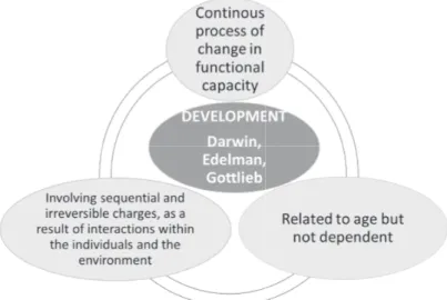 Fig. 3 Development according to Darwing, Edelman and Gottlieb