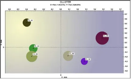 Fig. 8. Disposizione dei cluster nello spazio fattoriale