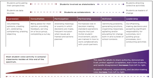 Fig. 2 - The sprectru of student voice oriented activity
