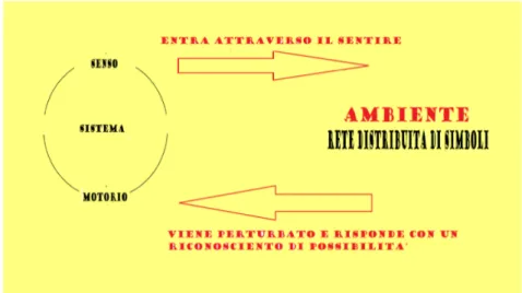 Figura 1. Illustra il processo autopoietico di generazione della conoscenza