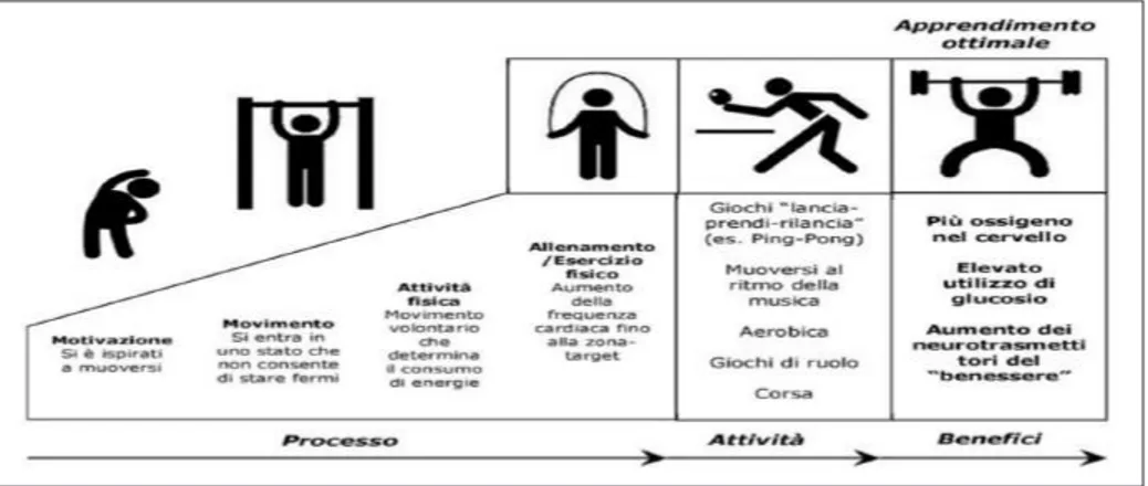 Fig. 7. Movimento e apprendimento ottimale