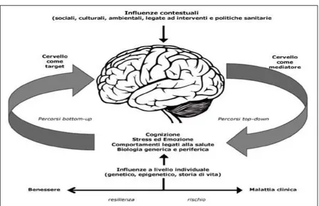 Fig. 3. I processi che collegano in modo bidirezionale e dinamico il cervello alle condizioni  di salute per tutta la vita sono regolati dal cervello attraverso percorsi efferenti (ossia di tipo top-down) e influenzano il cervello attraverso percorsi affer