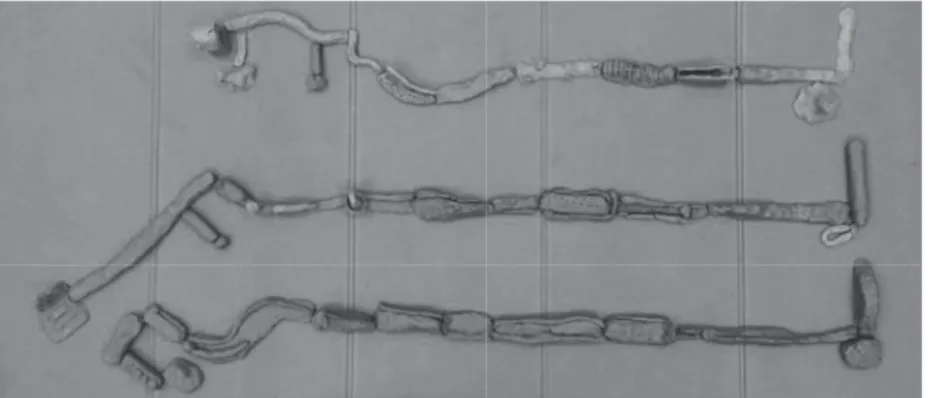 Fig. 5: Mappe tattili realizzate da tre gruppi differenti e raffiguranti la medesima sponda del lago dove si è svolta la passeggiata (Foto dell’autore)