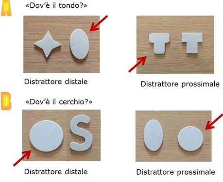 Figura 4 – Attività di scelta e rinforzo sensomotorio.