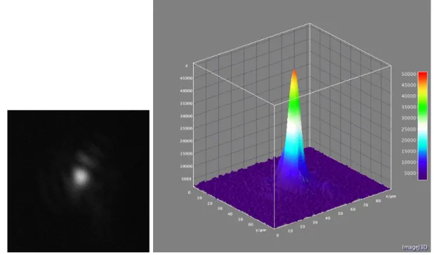 Figure 3.2: Focal spot of the PICO2000 laser beam during the experimental run (on the left) together with its profile obtained using an ImageJ script (on the right).