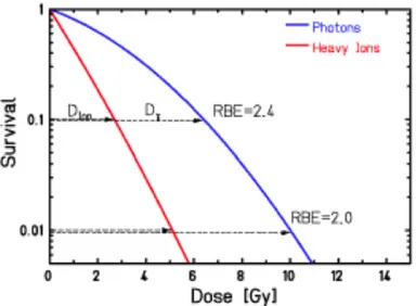 Figure 3.23: Typical survival-dose curves for mammalian cells irradiated with X-rays (reference radiation) and charged particles (tested radiation), together with the RBE values evaluated at 1 %