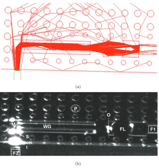 Fig. 3.4. Static optical characterization for PDMS device in OW conﬁguration (S=70 μm and thickness T=120 μm).(a) Ray tracing simulation of the light path